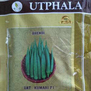 Bhendi